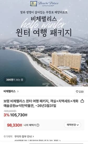 보령 비체팰리스 윈터 여행 패키지