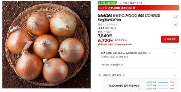 양파 햇양파 5kg 특상중혼합