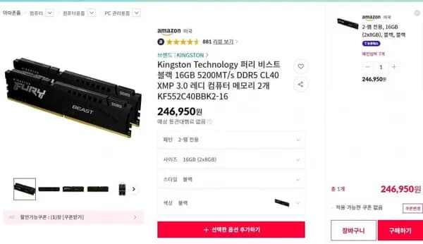 Kingston Technology 퍼리 비스트 블랙 5200MT/s DDR5 CL40 XMP 3.0 16GB 8GB 2개