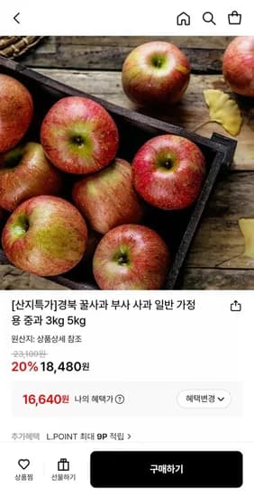경북 꿀사과 부사 가정용 중과 3kg
