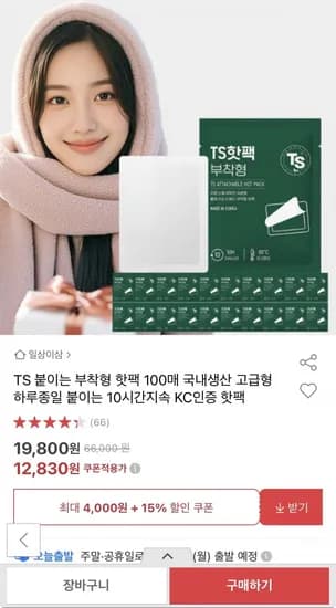 TS 붙이는 핫팩 50g 100매