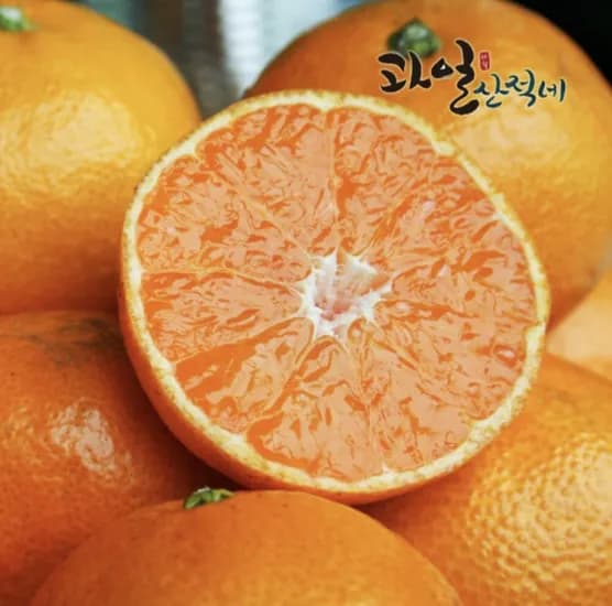 제주 감귤 9kg 중대과