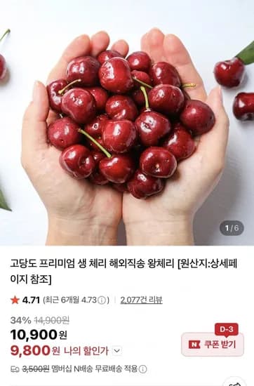 칠레산 생체리 800g