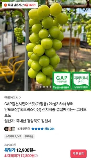 GAP김천 16브릭스 샤인머스켓 2kg