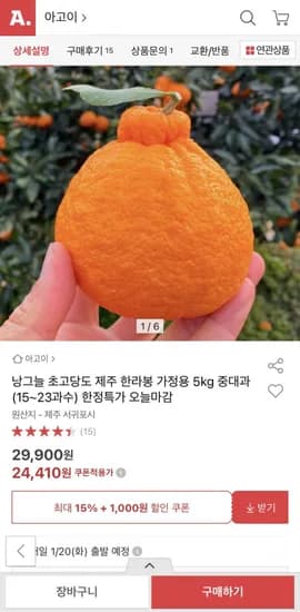 제주 노지 한라봉 중대과 5kg 15~23과 내외