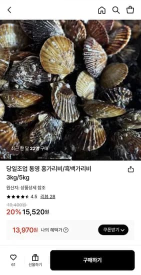 통영 흑백가리비 5kg kg당 20미내외
