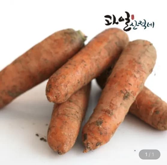 제주 구좌당근 중 5kg 100g 내외