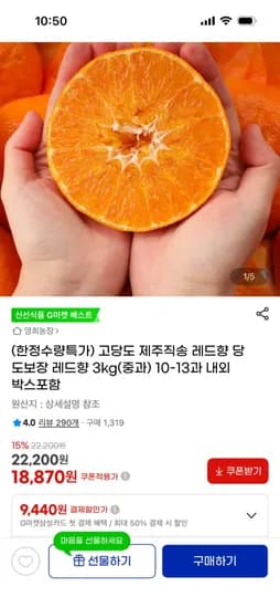 제주 레드향 3kg 중과