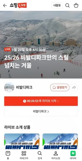 비발디파크 리프트권 1인