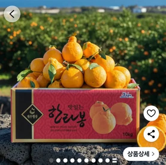 한라봉 2kg 소과