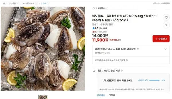 국내산 갑오징어 500g