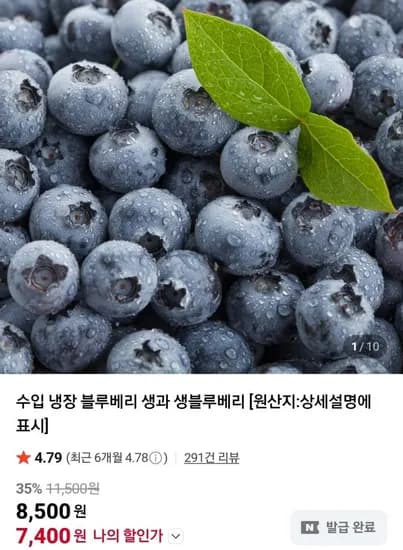 칠레산 생 블루베리 25g 5팩
