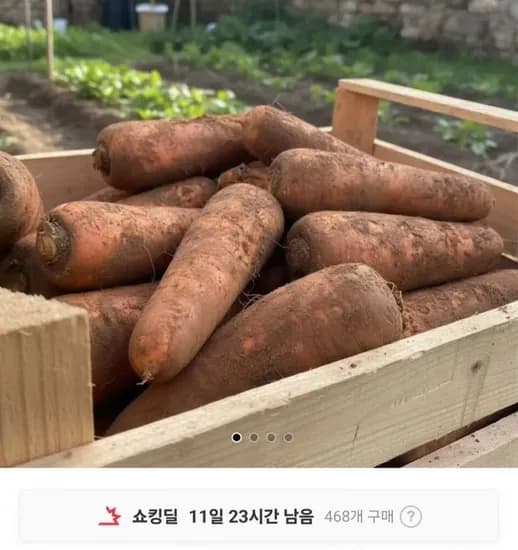 국내산 당근 3kg 왕특 실중량