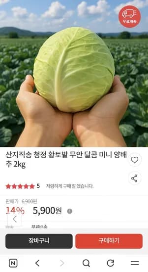 무안 양배추 2kg (5,900원/무료)