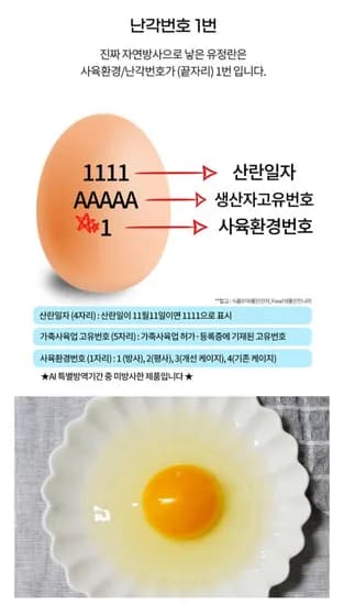난각번호 1번 무항생제 유정란 대란 40구