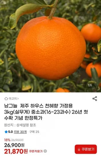 제주 하우스 천혜향 3kg (21,870원 / 무배)