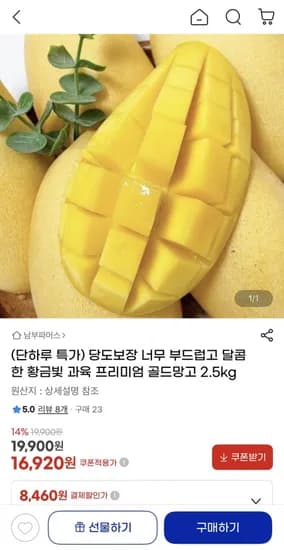 골드망고 2.5kg