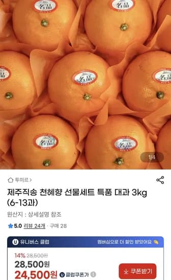 천혜향 선물세트 특품 대과 3kg