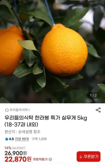 한라봉 5kg