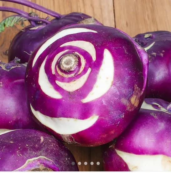 제주 콜라비 2kg 혼합 사이즈