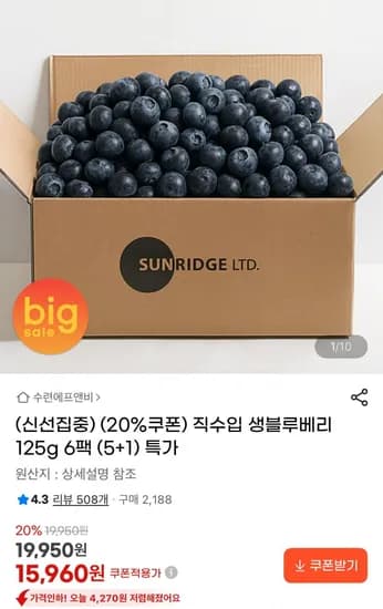 직수입 생블루베리 칠레산 블루베리 25그램 6팩 (15,960원/무료배송)1