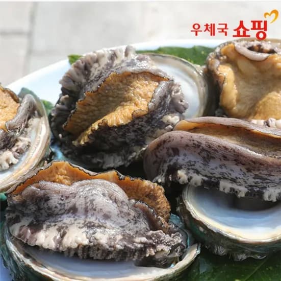완도 활전복 1kg 9~11미