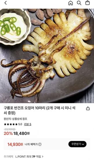 구룡포 반건조 오징어 10마리 500g 2개 구매 시 미니 석쇠 증정
