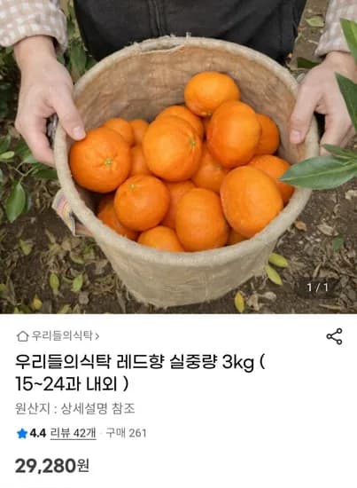 레드향 실중량 3kg (2,280원 / 무배)9