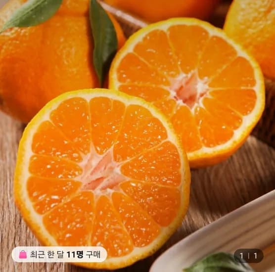 노지 하우스 한라봉 4.5kg