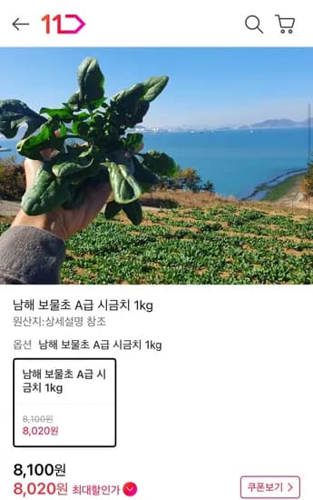 남해 보물초 시금치 1kg