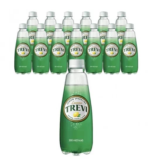 트레비 레몬 300ml 20개