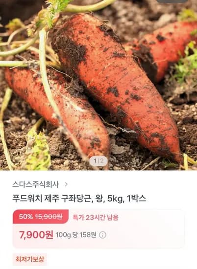 제주 구좌당근 1박스 5kg (7,900원/무배)