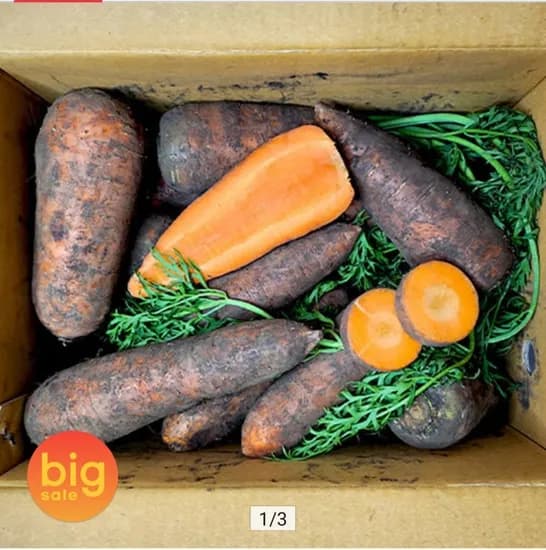 제주 구좌읍 햇 당근 10kg 왕