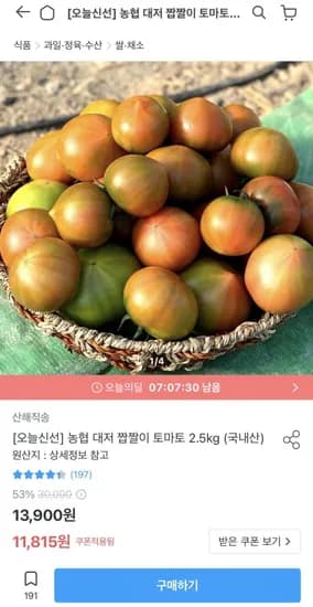 농협 대저 짭짤이 토마토 1kg (11,815원/무배)