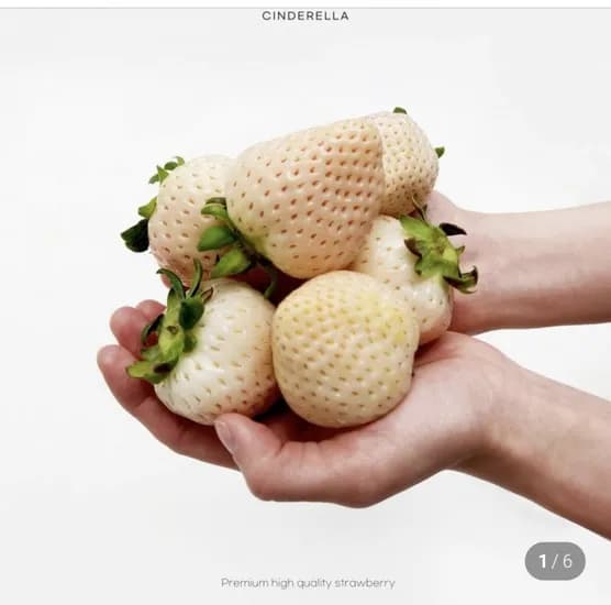 신데렐라 딸기 500g