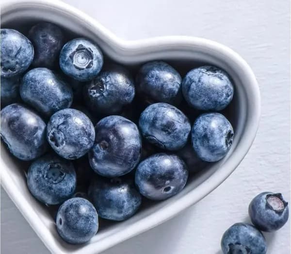 칠레산 생 블루베리 125g 6팩 (15,900원/무료)