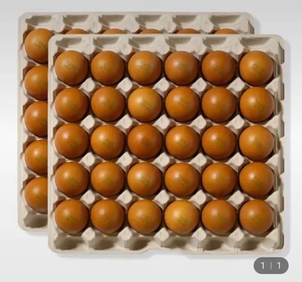 국내산 구운란 60구 대란