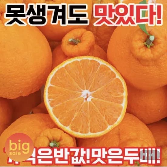 하우스 한라봉 5kg