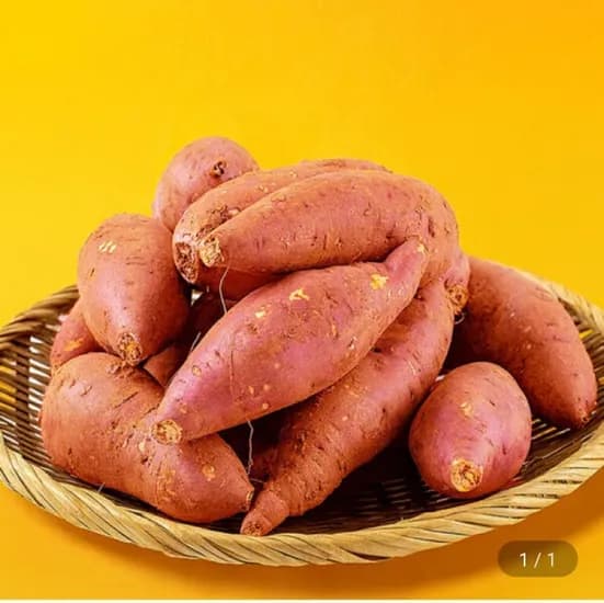 전남 호풍미 꿀 특상 250g이상 3kg