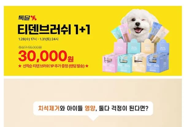 뉴트리오 티덴브러쉬 50p + 50P (+사은품 티덴브러쉬 1P 랜덤증정) (30,000원/무료)