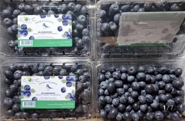 생 블루베리 30g 4팩 (23,900원/무료)1