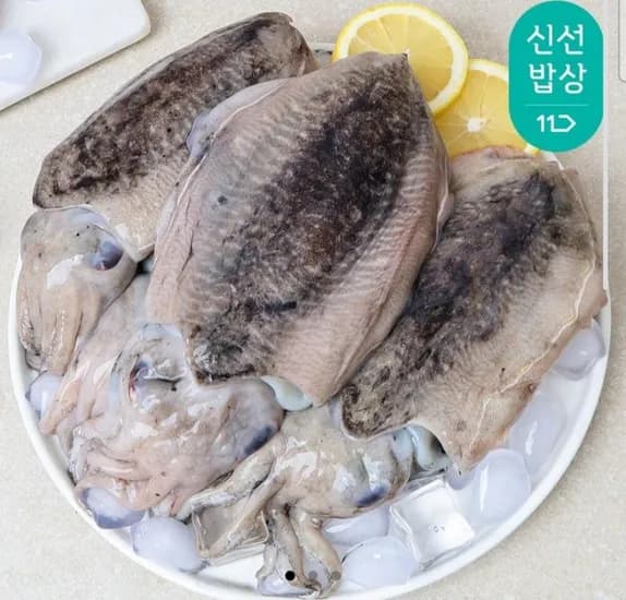 국내산 갑오징어 대 사이즈 kg (17,900원 / 무배)1