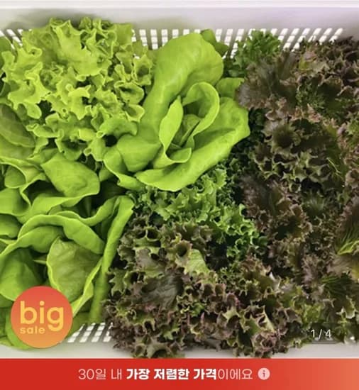 유러피안 모듬 샐러드 채소 1kg (유클 8,500원/무배)