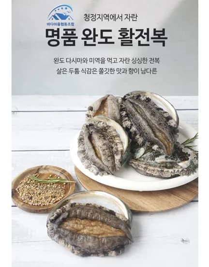 완도 활 전복 1kg 8~9미 (22,950원/무료)