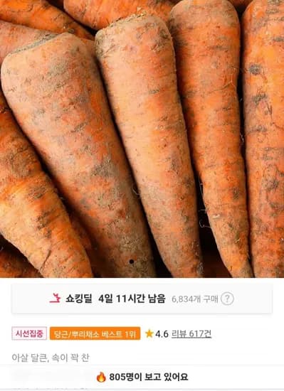 제주 구좌 당근 햇 흙당근 5kg (7,90원 / 무배)2