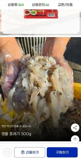 국내산 호래기 500g(13,210원/무배)