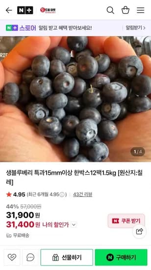 생블루베리 특과15mm이상 125g 12팩 (31,400원/무배)