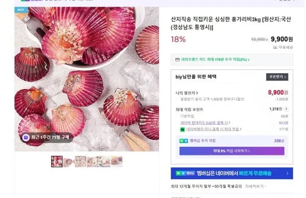 홍가리비 산지직송 3kg 8,900원/무배