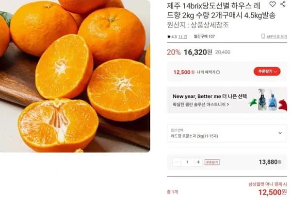 제주 레드향 로얄소과 2kg (12,500원/무배)