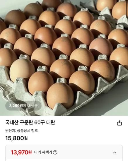 국내산 구운란 대란 60구 (13,970원 / 무배)